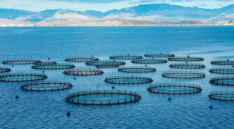 Aqua Nor 2023